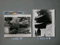 藏品(黑龍潭（雲南）)的圖片